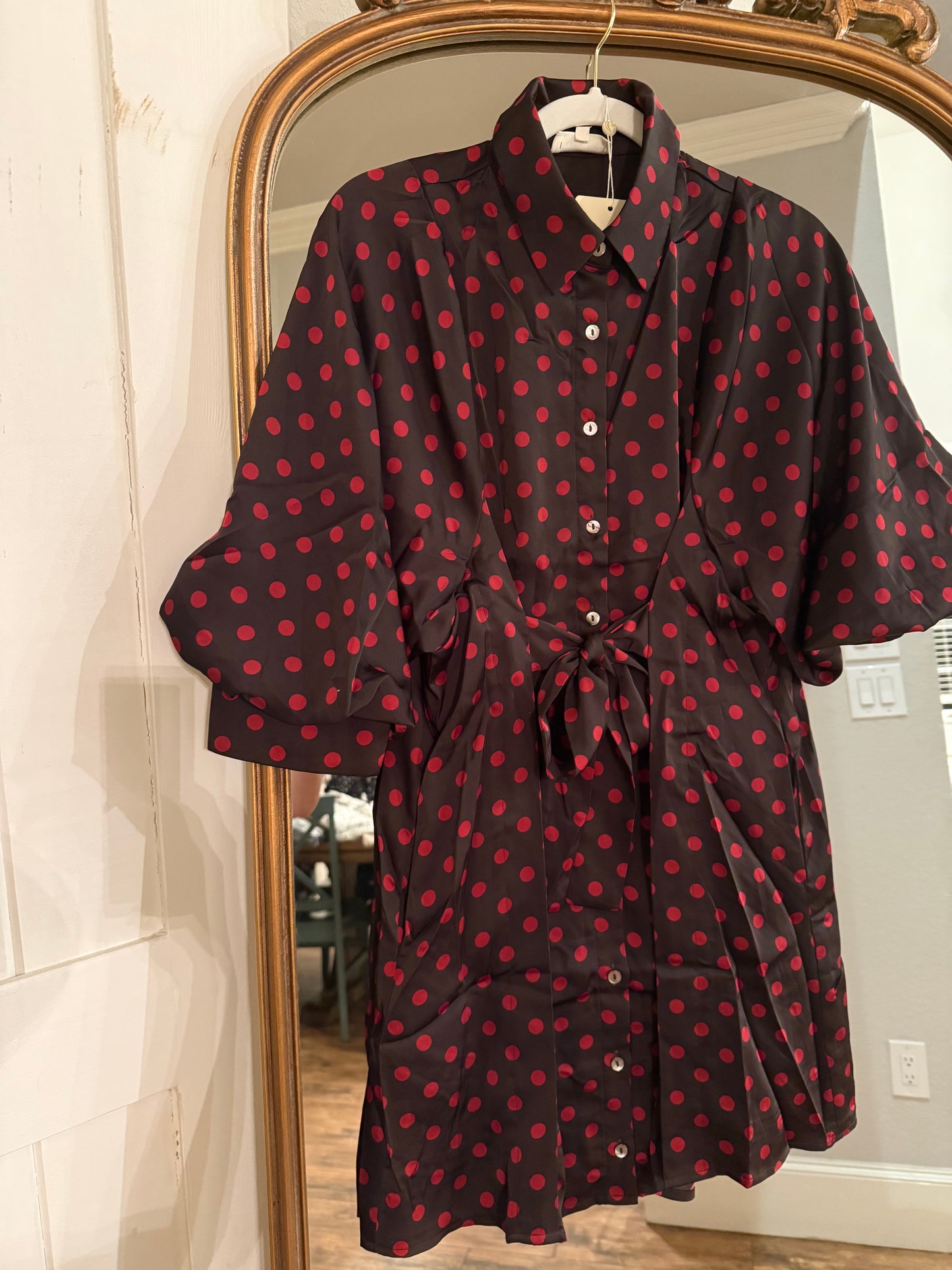 Brown/Red Polka Dot Dress