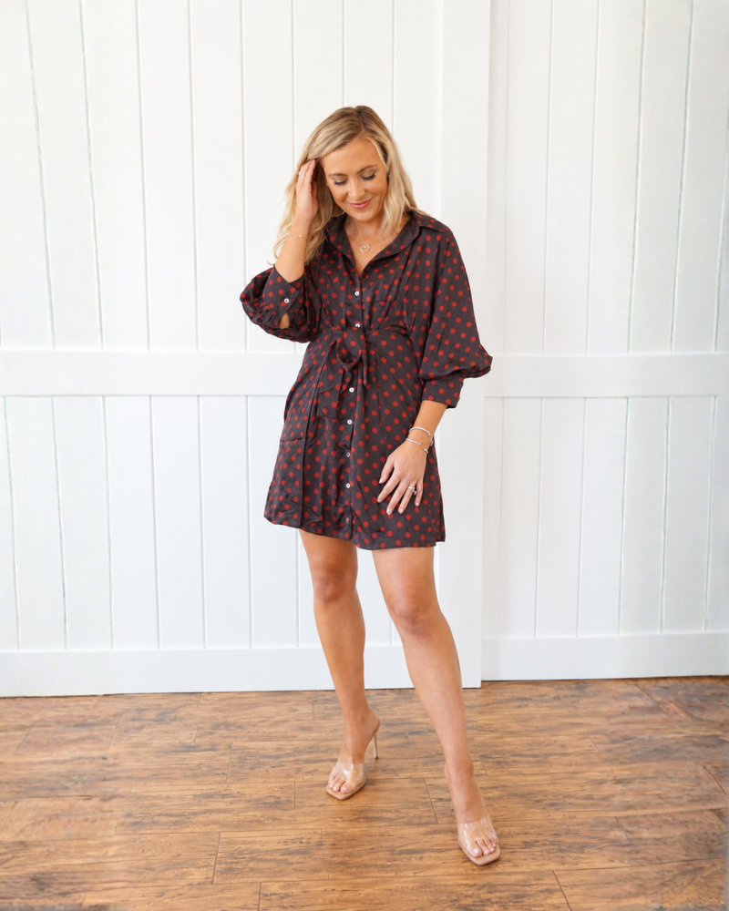 Brown/Red Polka Dot Dress