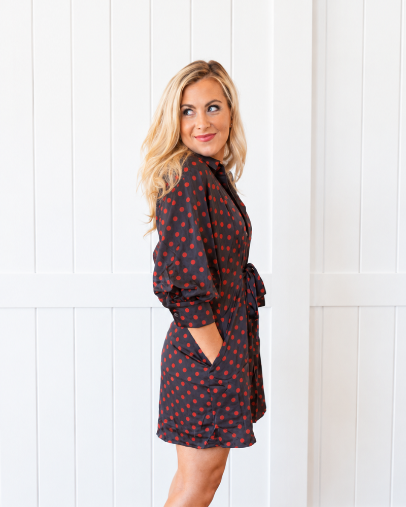 Brown/Red Polka Dot Dress