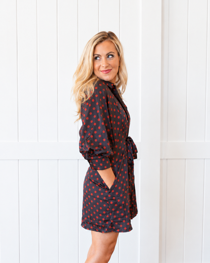 Brown/Red Polka Dot Dress