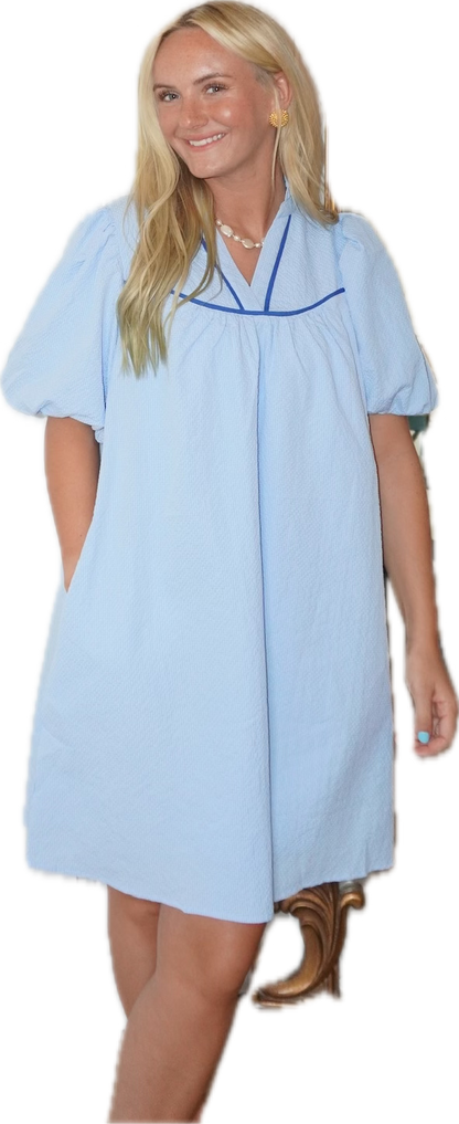 Blue Balloon Sleeve Vneck Top