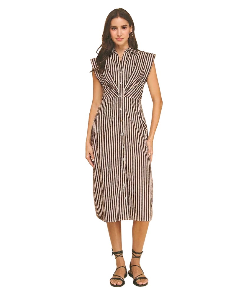 Brown/White Striped Button Down Dress