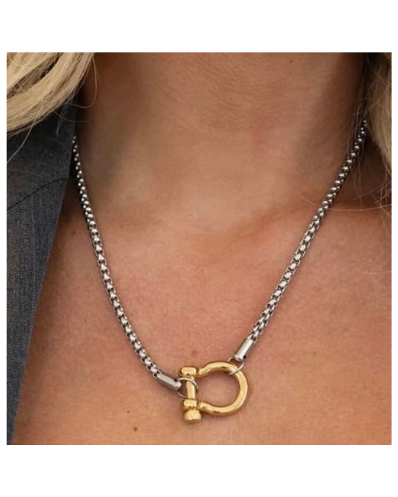 Silver With Gold Locket